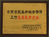 2004年被云南省工商聯(lián)合會授予“先進(jìn)民營企業(yè)稱號”